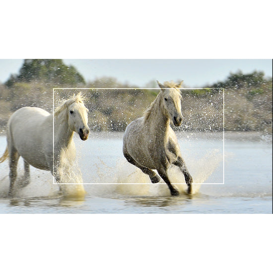 TCL 43" 4K UHD HDR Roku TV