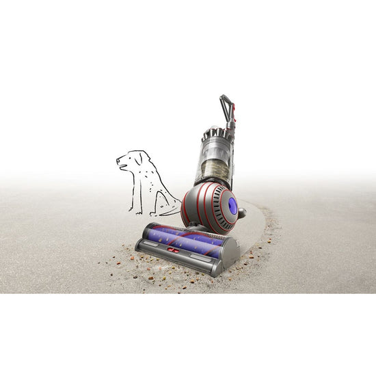 Dyson Ball Animal 3 Upright Vacuum