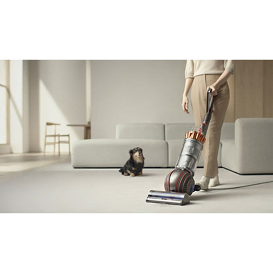 Dyson Ball Animal 3 Upright Vacuum