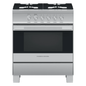 Fisher & Paykel Stainless Steel Range